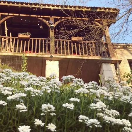 Lammas - Peaceful Vineyard Near Saint-emilion